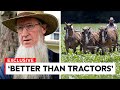 Amish Farming Is Something ALL Farmers Can Still Learn From Today!