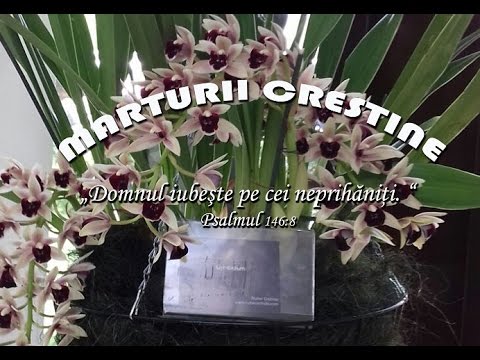 Marturie Ioan Tiut - partea 1