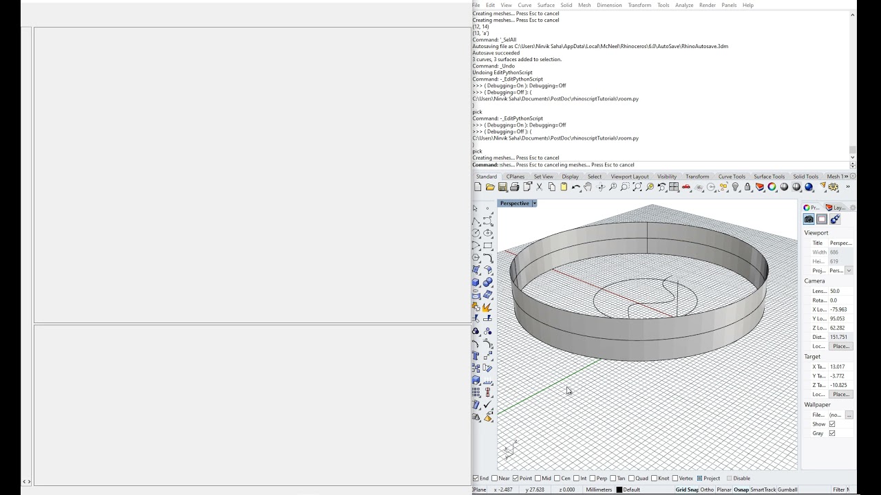 5. Learn Rhinoscript Python - basics