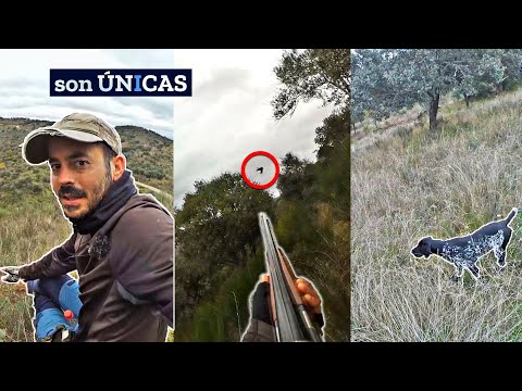 𝗣𝐨𝐫 𝐬𝐮𝐞𝐫𝐭𝐞 𝐬𝐞 𝐪𝐮𝐞𝐝ó 𝐞𝐧 𝐬𝐮𝐬𝐭𝐨😲 Cazando Perdices Salvajes 2024