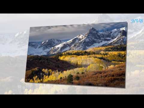 Diviners feat. Contacreast - Tropic Love (Video)