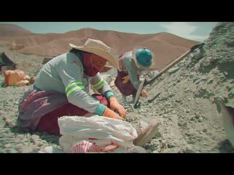 Entre Polvo Y Sueños - Film Trailer (English)