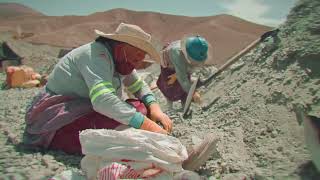 Entre Polvo Y Sueños - Film Trailer (English)