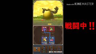 【テリワン生声実況】しんじつの扉-黄金郷-入手魔物とは⁉️part27