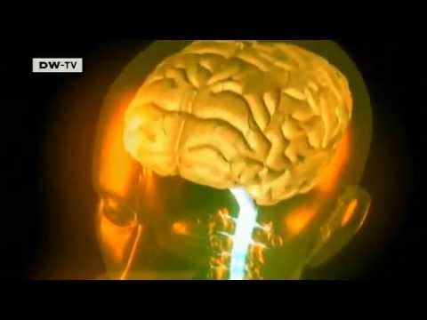 Preisverdächtig - Hirnforschung wird die Welt verändern | Projekt Zukunft