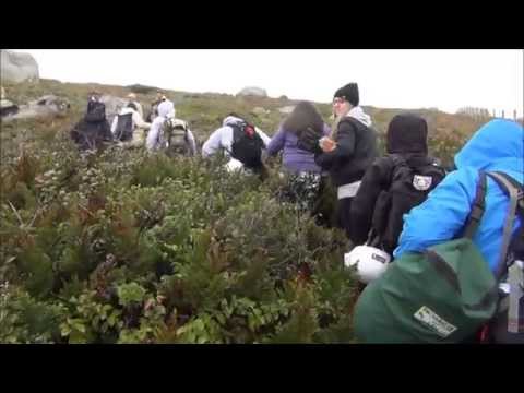 Trailer Radical - CURSO DE RAPEL 2015.