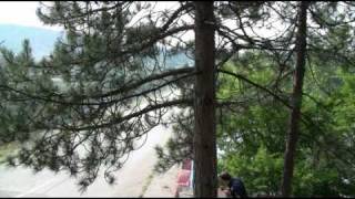 preview picture of video 'WRC Rally Bulgaria 2010 - Day 2 - LYUBNITSA'