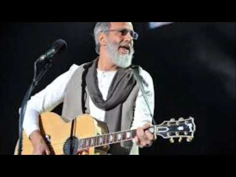 2019 - YUSUF ISLAM alias CAT STEVENS