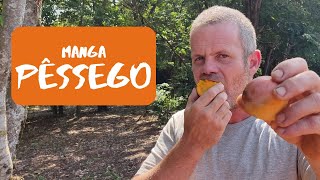 Miniatura do vídeo