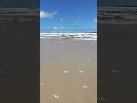 Praia de Canavieiras Bahia em um dia ensolarado com ondas de águas mornas 🏖️🌊🌊.