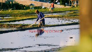 Download lagu AAS ROLANI,LINTANG WULAN:vlog pemandangan sawah mp3 Download lagu AAS ROLANI,LINTANG WULAN:vlog pemandangan sawah mp3