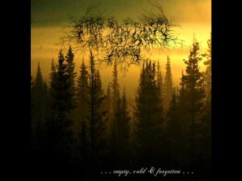 From the Sunset, Forest and Grief - Broken Lights
