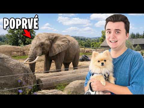 Bingo Poprvé v ZOO!