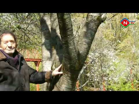 Misraların işığında-Musa Yaqub.(04.06.2021)