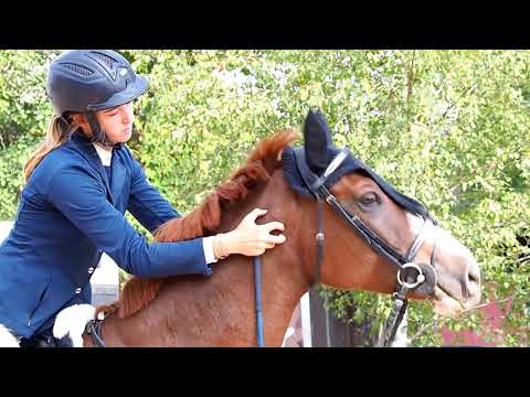 Karpatia Trophy 15. 9. 2018