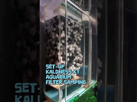 Setting Kaldness K1 Filsam