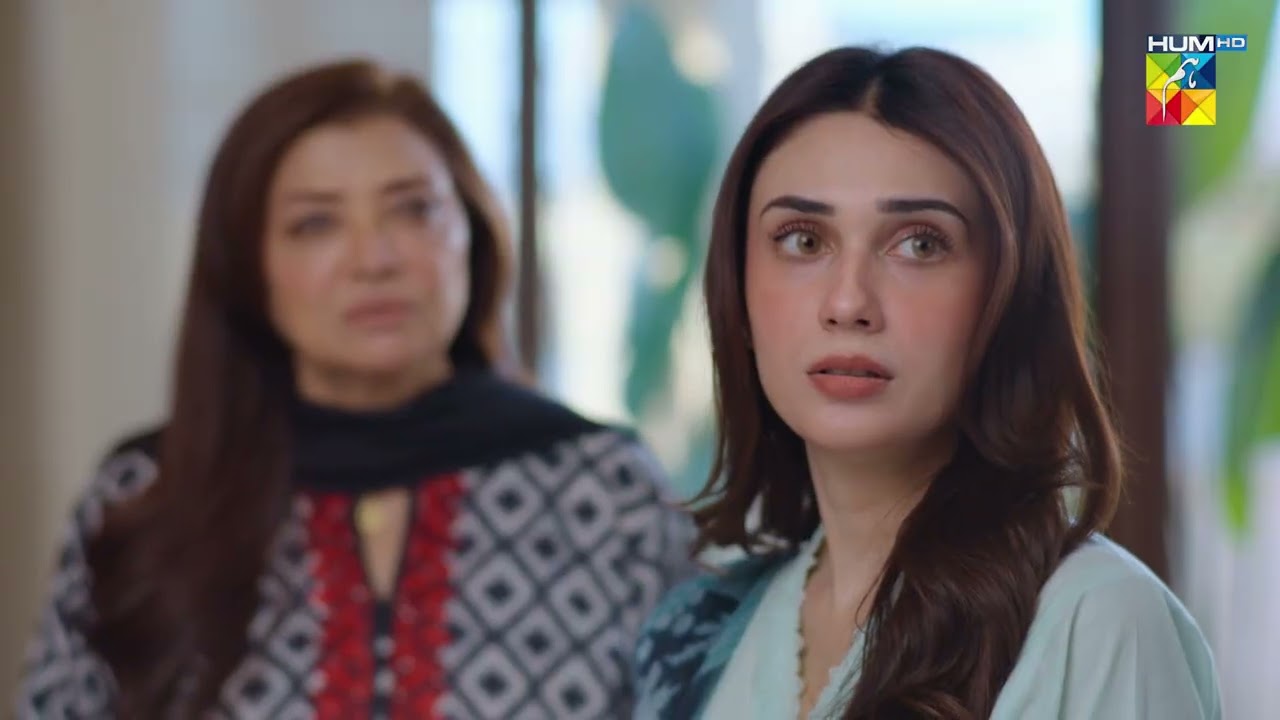 Aniza Tum Behan Ke Pyaar Main Pagal Ho Gaye Ho..! #hinatariq - Aye Dil Aazma Nahin - HUM TV