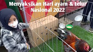 Download lagu Menyaksikan Hari Ayam & telur Nasional 2022 Bukittinggi mp3