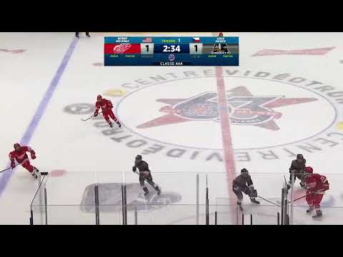 PEEEWEE/DETROIT RED WINGS - CZECH KNIGHTS/AAA/final game/1-2period