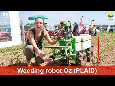youtube video image