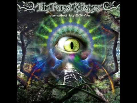 Evilcore aka Shakri - Smash-DPsyV