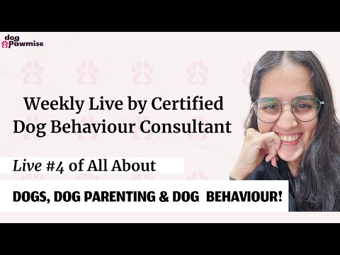 All About Dogs, Dog Parenting & Dog Behaviour - Live #4