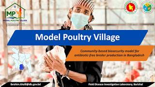 Model Poultry Village