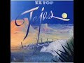 ZZ Top - Avalon Hideaway