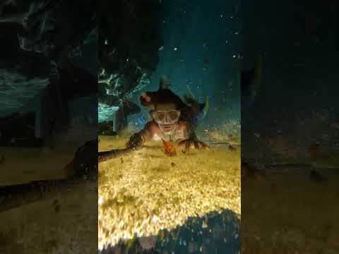 A nice soft landing.