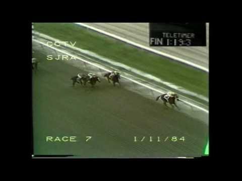 VERSET'S DANCER - Clásico De Hostos 1984