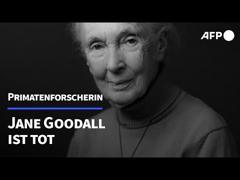 Video Thumbnail: Jane Goodall ist tot | AFP