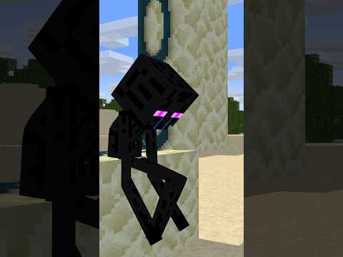 Enderman Past Lives #shorts