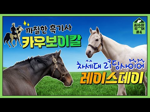 [씨수말투어4] 카우보이칼은 폭군? 초신성 레이스데이! #경마 #씨수말 #Raceday