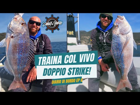 Traina Con Il Vivo DOPPIO STRIKE! - Diario Di Bordo EP. 6