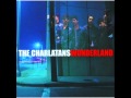 THE CHARLATANS - A mand needs to be told