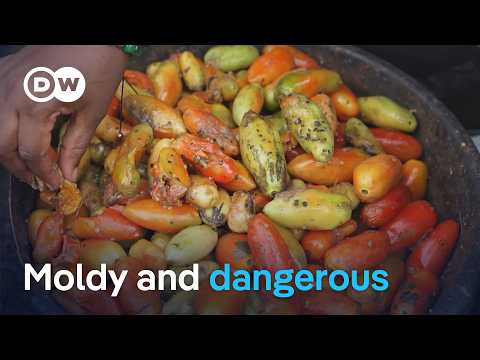 Why millions in Nigeria are risking their health to eat, as food costs soar | DW News