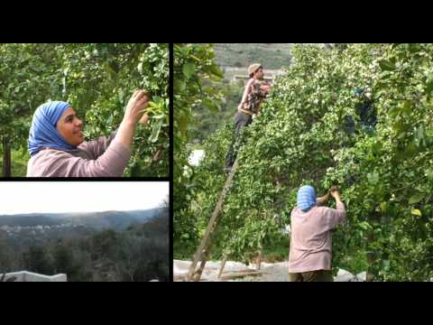 Artisanat SEL présente : La confiance mutuelle