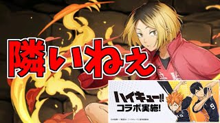 【新凶兆】孤爪研磨～自分も上がってくれたらなぁって…ｗ～【パズドラ実況】