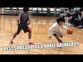 BEST ANKLE BREAKERS & CROSSOVERS OF ALL TIME!!