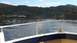 preview picture of video 'Dolphins in Gairloch on MV Starquest operated by Gairloch Marine Life Centre & Cruises, 26-08-11.'