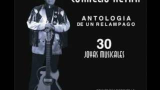 Amigos Del Alma- Ramon Ayala