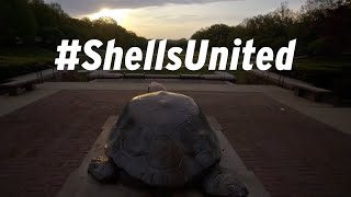 #ShellsUnited