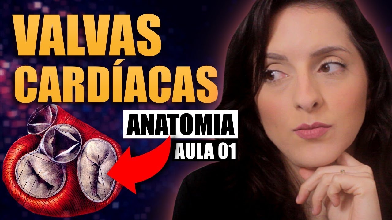 Anatomia das Valvas Cardíacas: Muito FÁCIL de Entender! [Sistema Cardiovascular 1/4]