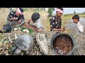Village Style Tortoise Cooking Traditional Recipe In Nature