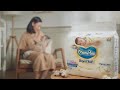 ART DIRECTOR Reels Iklan Mamypoko Royal Soft