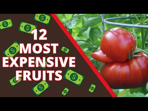 12 Most Expensive Fruits In The World