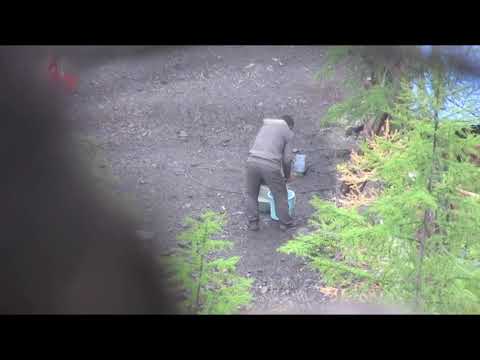 В Якутии незаконно добыли золото на сумму свыше 5 млн рублей (ВИДЕО)