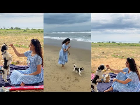 Actorss keerthi suresh playing with pet in beach | viral video  |Ero channel