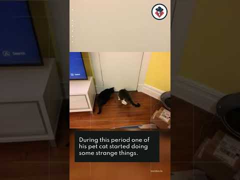 The strange incidents happened in Adam's apartment | Dear David | #mystery #shorts #deardavid