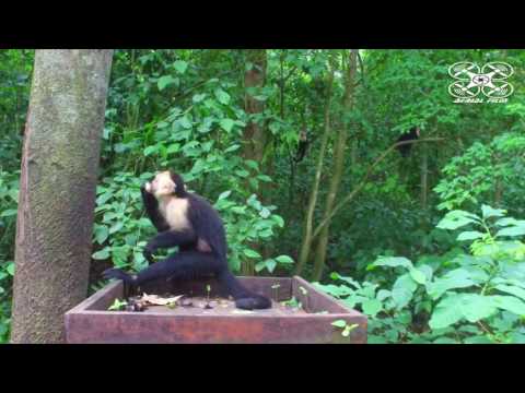 Costa Rica Un País Hermoso, Playa Blanca, Punta leona